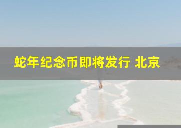 蛇年纪念币即将发行 北京